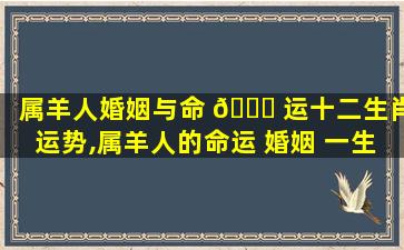 属羊人婚姻与命 🐋 运十二生肖运势,属羊人的命运 婚姻 一生概况